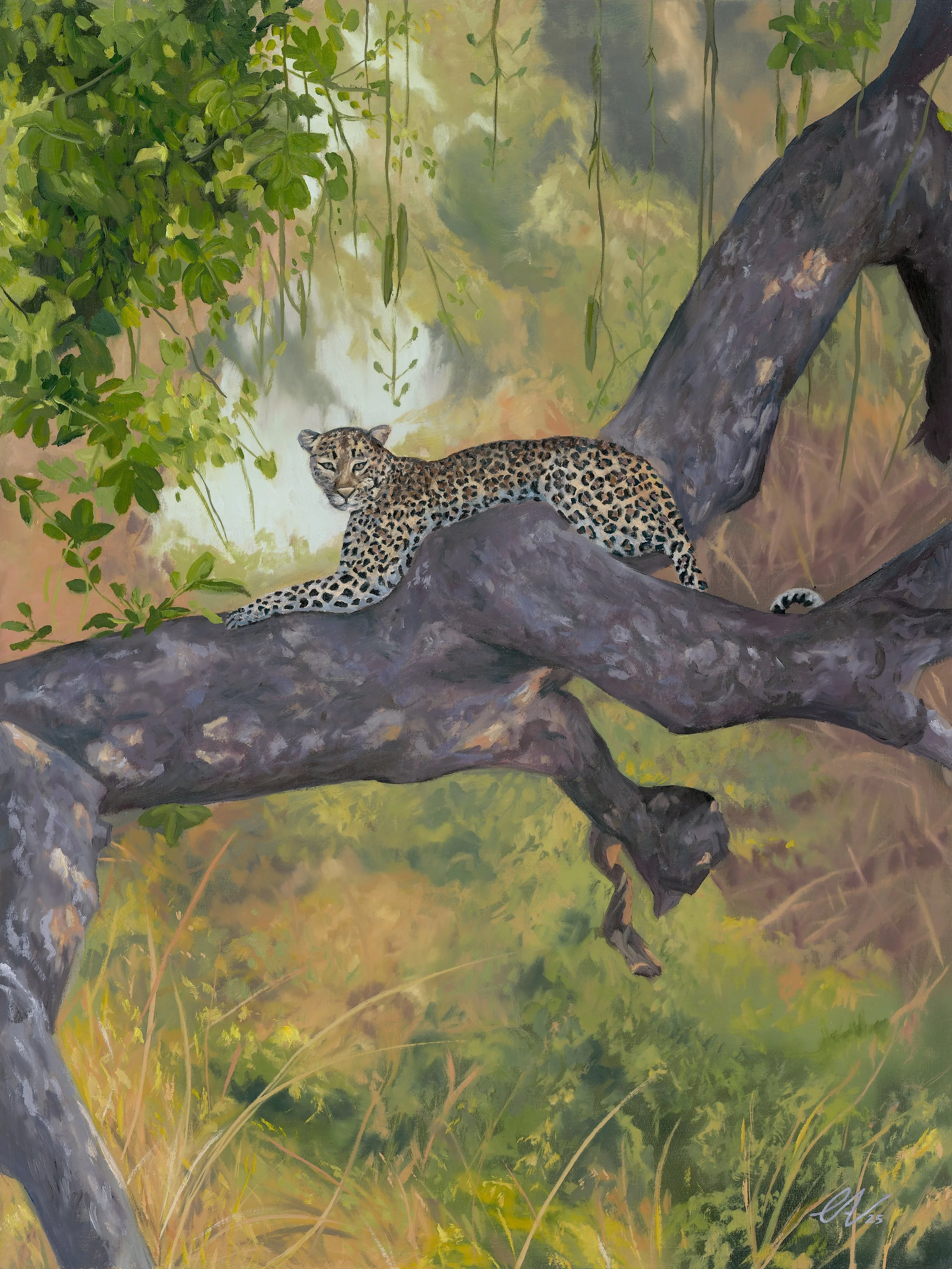 Safari 油彩画 Josa Botten 2016 Safari 油彩画 Josa Botten 2016